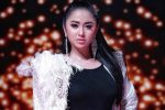 Dewi Perssik: Karier, Kontroversi, Dan Kehidupan Pribadi