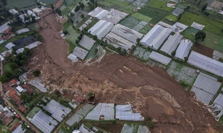 KLH Turun Tangan, Selidiki Biang Kerok Longsor Cisarua