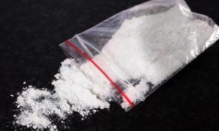 Polda Sumut “Gerah”: Janji Usut Aipda Erina Soal Jual Sabu