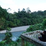 Eksplorasi Langkat: Surga Alam Yang Bikin Jantung Deg-Degan