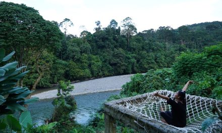 Eksplorasi Langkat: Surga Alam Yang Bikin Jantung Deg-Degan