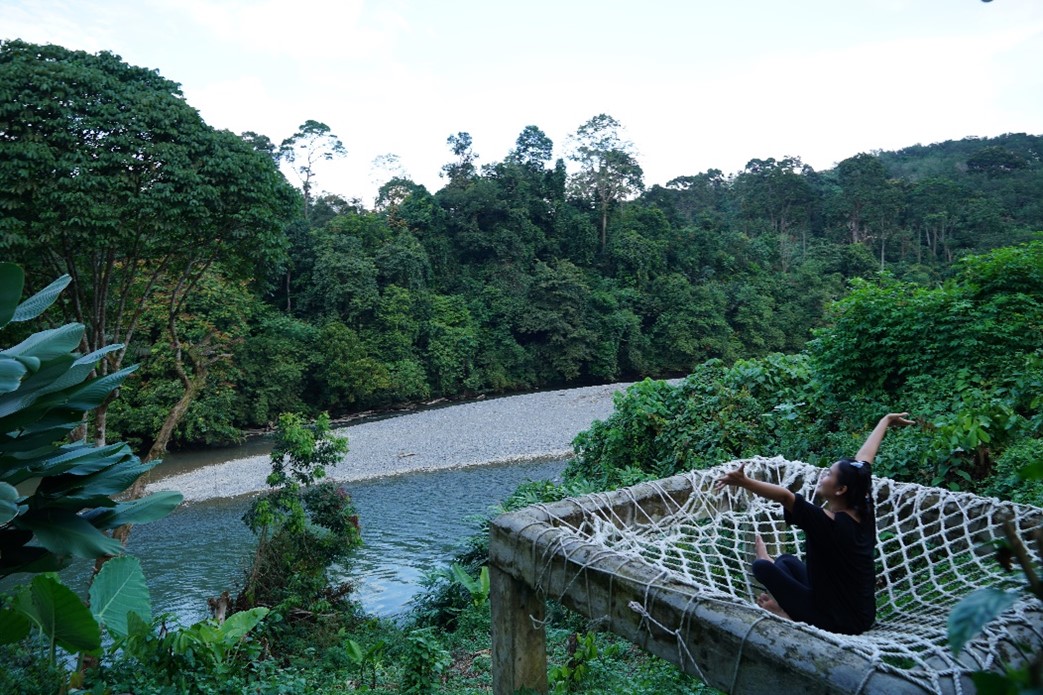 Eksplorasi Langkat: Surga Alam Yang Bikin Jantung Deg-Degan