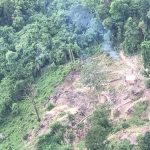 Hutan Gundul: Bom Waktu Yang Siap Meledak Kapan Saja