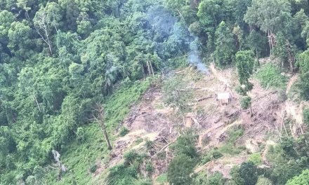 Hutan Gundul: Bom Waktu Yang Siap Meledak Kapan Saja