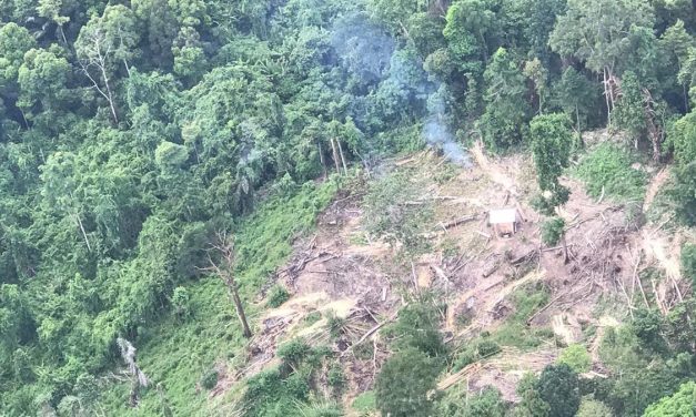 Hutan Gundul: Bom Waktu Yang Siap Meledak Kapan Saja