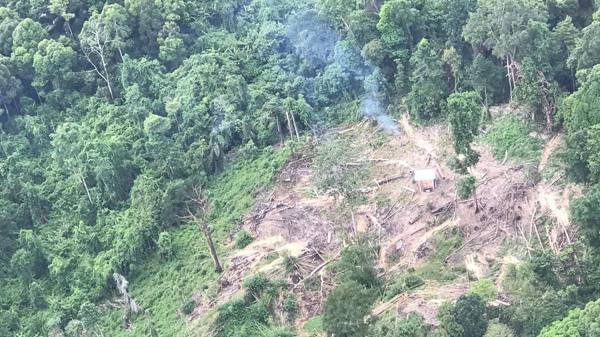 Hutan Gundul: Bom Waktu Yang Siap Meledak Kapan Saja