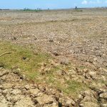 Indonesia Krisis Air! Ternyata 74% Stoknya ‘Lari’ Ke Pertanian