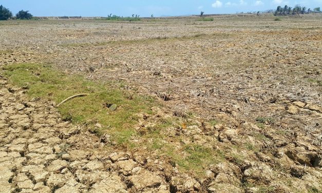 Indonesia Krisis Air! Ternyata 74% Stoknya ‘Lari’ Ke Pertanian