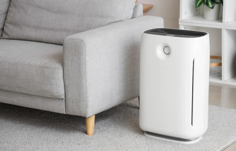 Manfaat Air Purifier Buat Yang Sering Alergi Debu