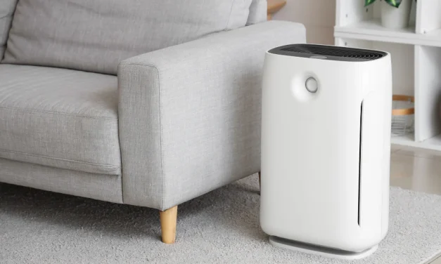 Manfaat Air Purifier Buat Yang Sering Alergi Debu