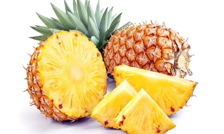 Khasiat Tersembunyi Di Balik Segarnya Buah Nanas