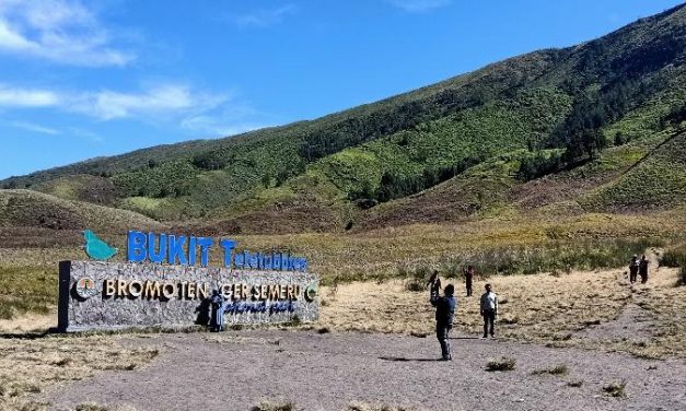 Seru Banget! Ini Sederet Aktivitas Asyik Di Bukit Teletubbies